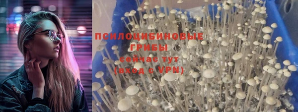 спиды Алексеевка