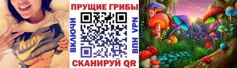 где найти   Безенчук  OMG ссылки  Псилоцибиновые грибы Psilocybine cubensis 